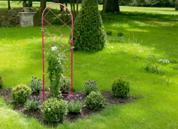 Drive this treillis directly into the ground, and provide an elegant support for your plants to climb up
