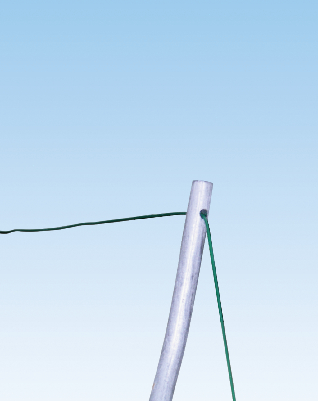 20 Pezzi Bastoni A Spirale Per Pomodori - Acciaio Zincato, Lunghezza 180 Cm, Per Piante Rampicanti - Foto 9