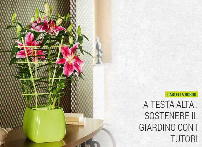 A testa alta: sostenere il giardino con i tutori