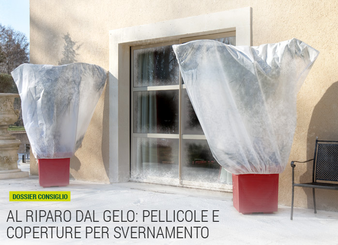 Al riparo dal gelo: pellicole e coperture per svernamento