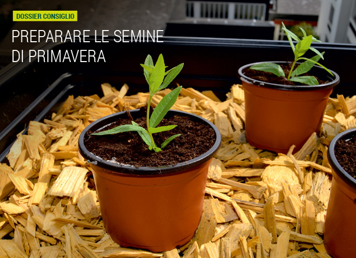 Preparare le semine di primavera