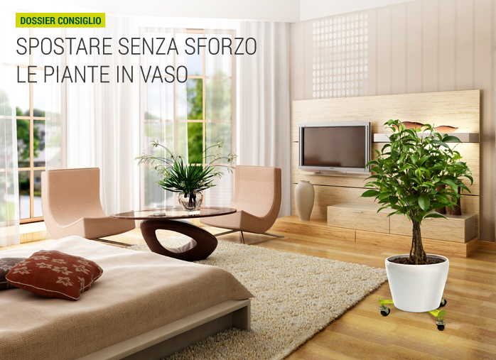 Spostare senza sforzo le piante in vaso