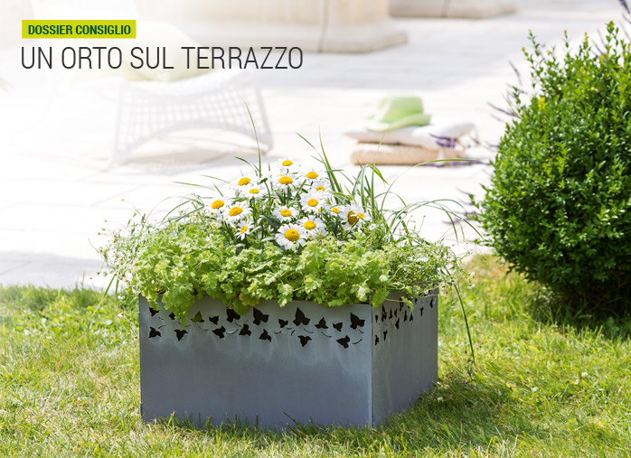 Un orto sul terrazzo