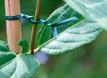 Reinforced plastic tie