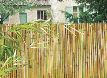 Arella naturale con cannette di bambù intero