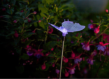 Graceful solar figurines on rods, to plant