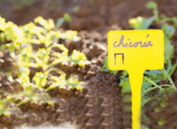 Planting labels