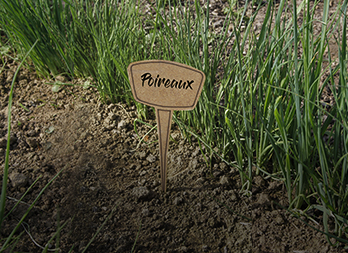 Etichette per piante in fibra di Miscanthus