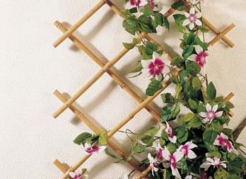 Bamboo trellis