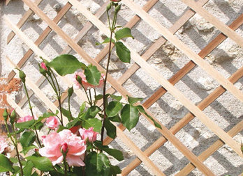 Wooden trellis