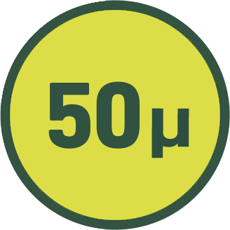 50µ